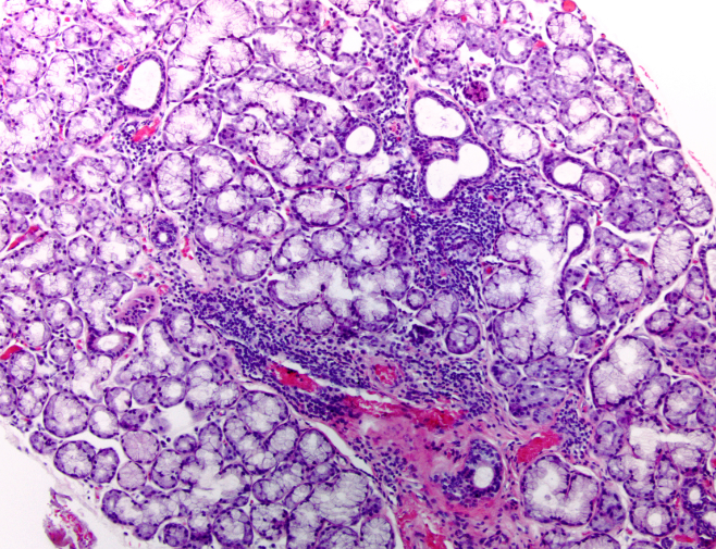 To Dr. Udayan's Laboratory Dr. Udayan's Laboratory in Akota